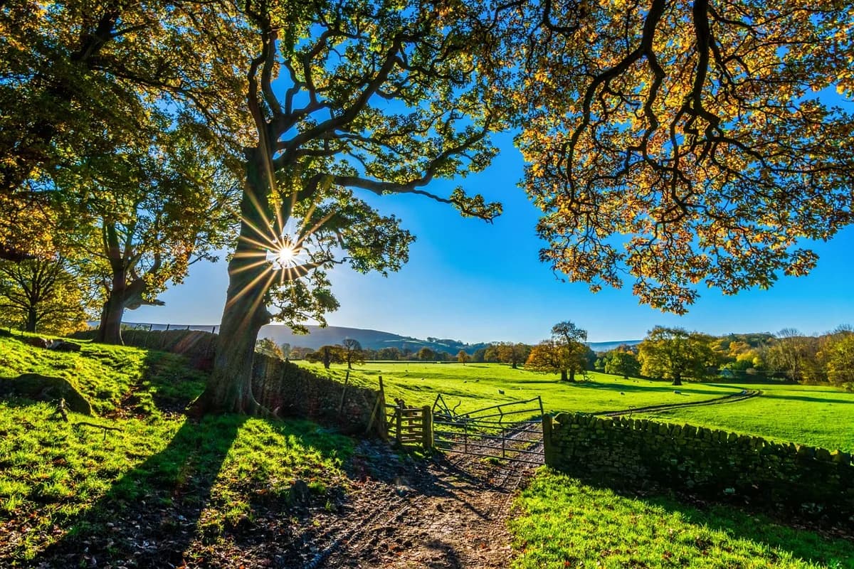 Benefits of Owning Land: Build Wealth and Financial Freedom