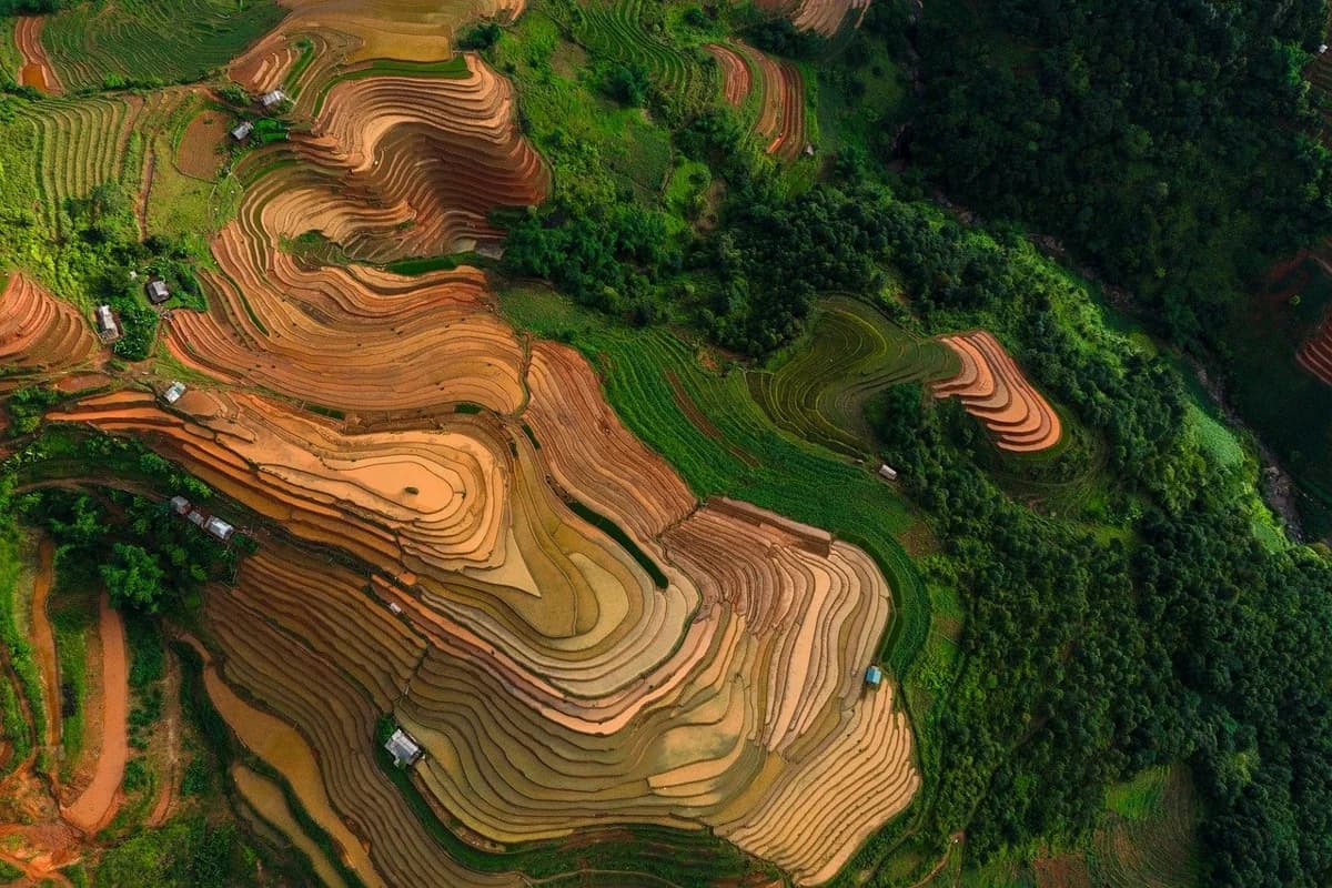 DIY Land Improvement Projects