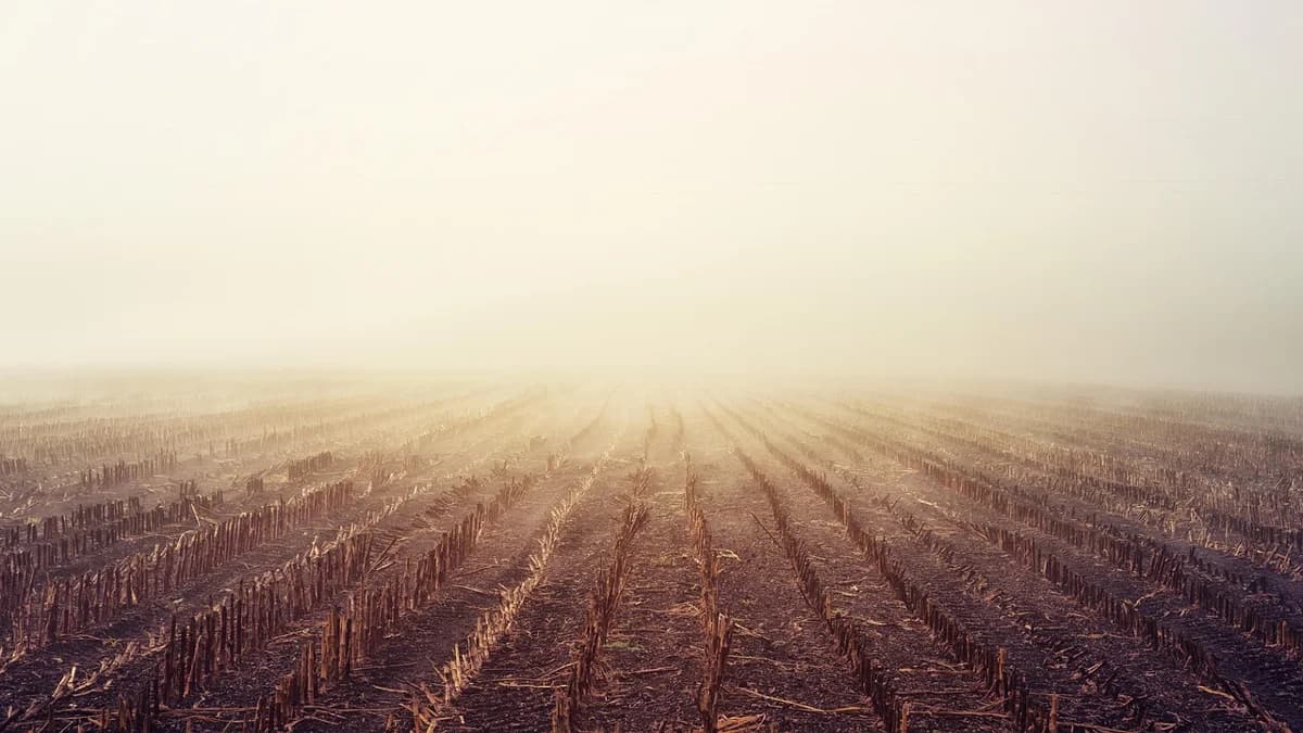 Preparing Land for Hunting: Complete Guide