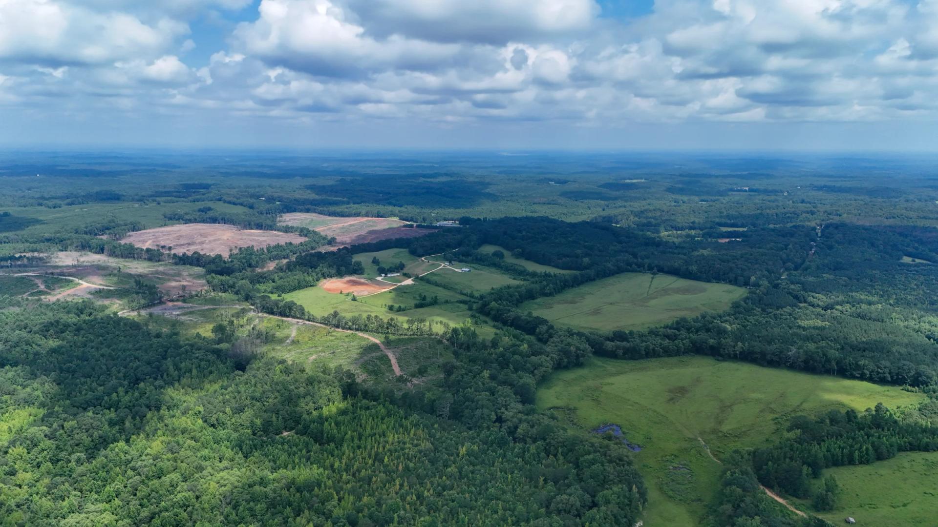Golden Pine Reserves - Itawamba MS