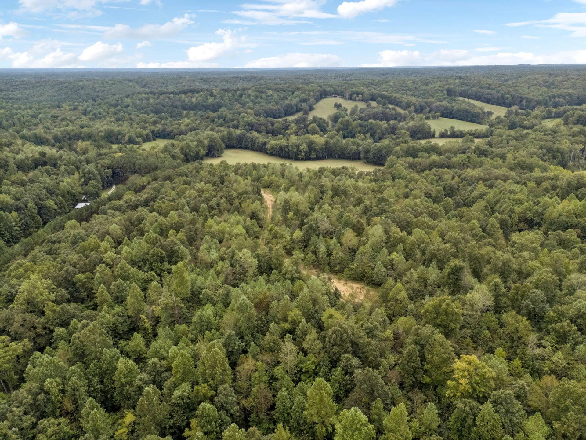 90 Unrestricted Hunting/Recreational Acres 1.25 Hours From Nashville