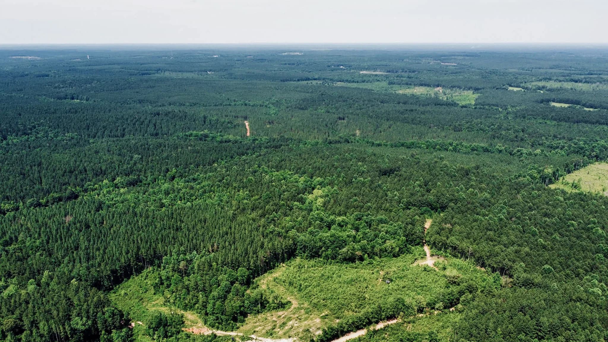 2.17 Acres in Jasper County, MS — No Zoning