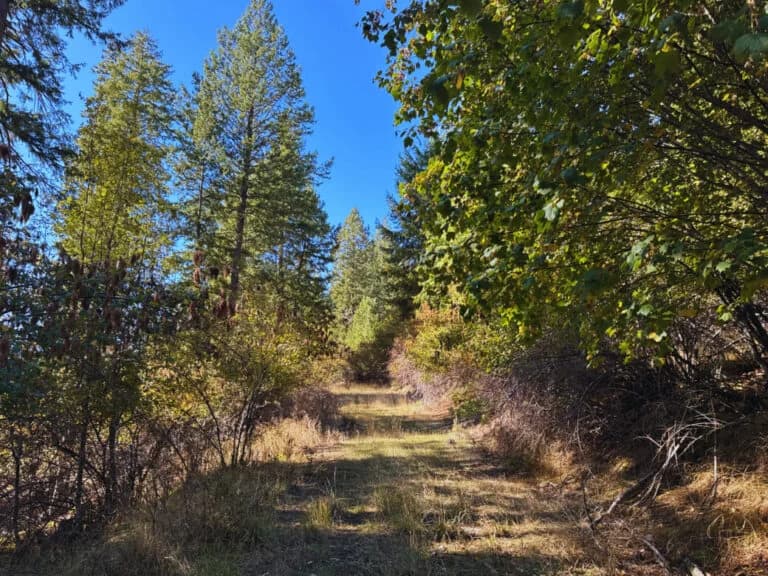 Lakeside Living in Bayview – 0.55 Acres with Power & City Water