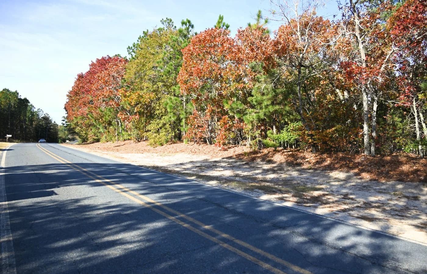 Versatile 2.4 Acre Property Near Downtown Hamlet, NC | Dual Road Access and Public Water