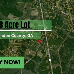 Camden County GA Land For Sale