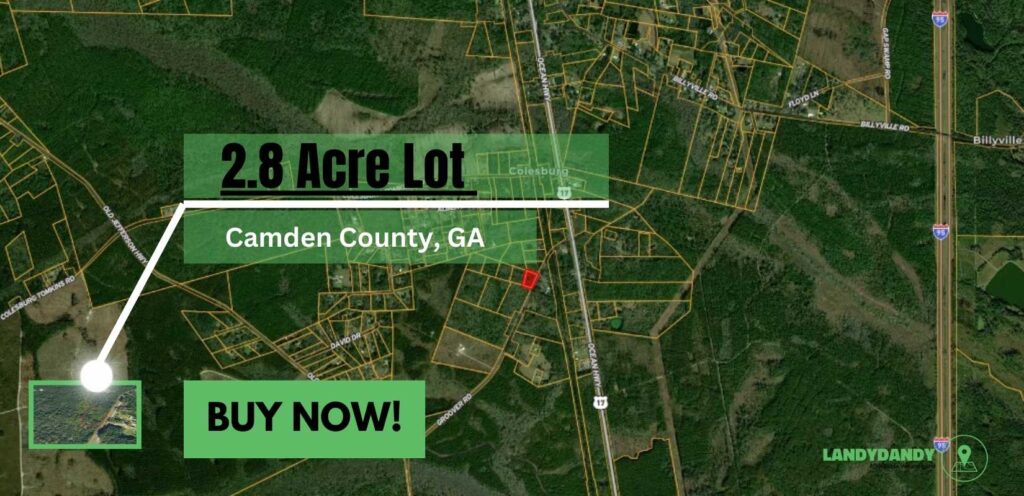 Camden County GA Land For Sale