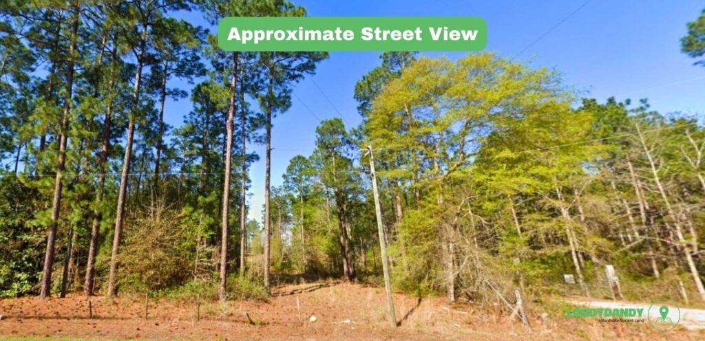 Ben Hill County GA Land For Sale