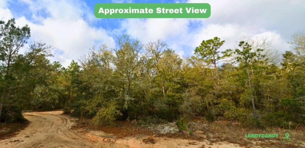 Putnam County Florida Land For Sale